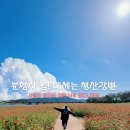 종부둔치화장실(백일홍화장실) | 있었는데 없어졌네요? 가을 경주 여행 코스 추천