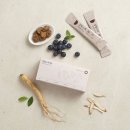 펫프로젝트 이미지