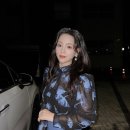 올라운드 이미지