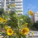 수성여행사 이미지