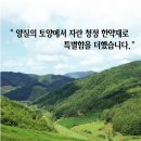 서연한의원 이미지