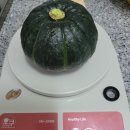 안태진 유기농 유자 | [안태진유자남해] 미니밤호박 미니강 상품 3kg