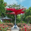 철도폐선부지(동초교입구) | [공지] 대구 장미 명소 서구 그린웨이 실시간 개화 상황 5월 꽃구경