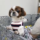 동암차돌학교 | 4월 일상 점포 정리