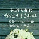 연일 Daum카페