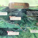 (유)남호관광개발 | 구천동 어사길~백련사~향적봉 왕복 2026.02.28 토요일