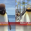 서핑스타