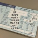 다드림푸드 | 11월 중국 장가계 여행 준비: 투어사(하나투어), 준비물, 팁