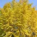 도봉초등학교 이미지