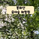 봉화산 유아숲체험원 이미지