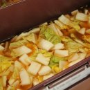 진도농장 | 통통 알배추 나박김치 담궜어요. 농라 진도농장