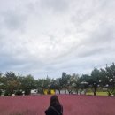 뉴발란스 안성점 이미지