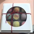 나나스스튜디오 이미지