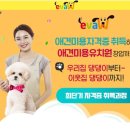 뷰티션미용실 네이버블로그
