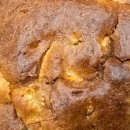 유명산자연휴양림 | 유명산 자연휴양림 고라니 후기 (양평 정베이커리 호박빵, 닭만보 마늘 닭강정)