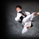 조선석사태권도 이미지