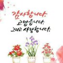 지금처럼 이미지