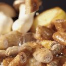 대성푸드 이미지