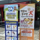 순천만국가정원 강아지 입장 가능한 날, 견과함께 행사참여 후기