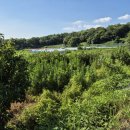 경기광주A공인중개사사무소 이미지