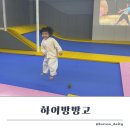 방방고 이미지