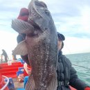 킹콩낚시 이미지