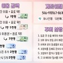 13번째고양이