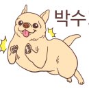 비발디카페