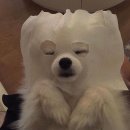 벨라 스킨 앤 바디 이미지