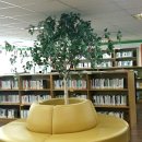 서귀포점자도서관 이미지