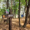 초롱꽃공원 이미지