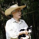 펫토피아 이미지