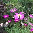 구월초등학교 이미지