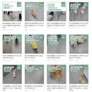 건국동물병원(출장진료전문) | 하대원동물병원 아이의 정형수술을 믿고 맡길 수 있는 곳? 이 2가지는 꼭 확인하셔야 합니다.