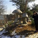 자영농장 이미지