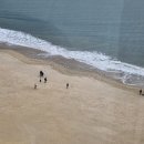 포커스게임장 | 한겨울 부산 여행 &amp; 해운대 파라다이스 호텔 후기