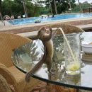 멍스타그램 이미지