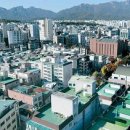 노른자위 이미지