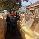 유하1천 이미지