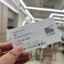 로이드밤익산 이미지