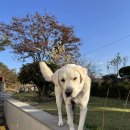 스테이 말래 이미지