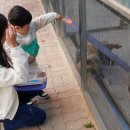 강릉 쌍둥이 동물농장 이미지