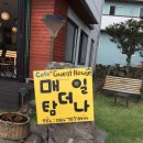 매일더탐나 이미지