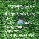 바람쐬다 이미지
