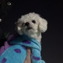 주식회사 시오 이미지