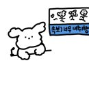 나교김밥 네이버블로그