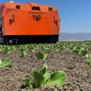 와이즈팜 이미지