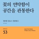 패터슨-글 윌리엄 칼로스 윌리엄스 | 옮김 정은귀-꽃의 연약함이 공간을 관통한다 이미지