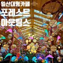 식사동 식사오거리 정류장 | 내돈내산 일산 대형카페 포레스트아웃팅스 빵 메뉴 추천 주차 재방문 의사는 없음