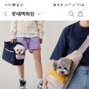 강아지 이동가방 업백 ㄱㅊ??? 이미지